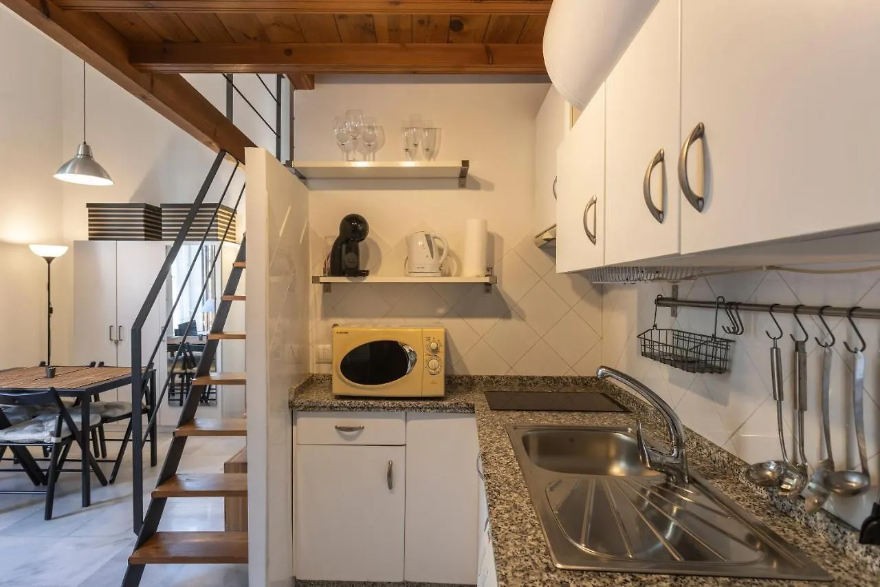 Beautiful Apartment In Sevilla Center 0*, Seville